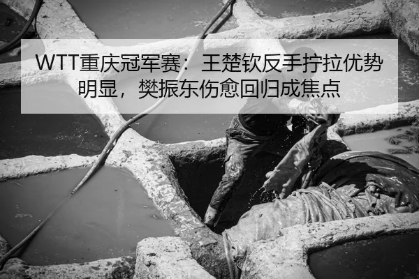 WTT重庆冠军赛：王楚钦反手拧拉优势明显，樊振东伤愈回归成焦点