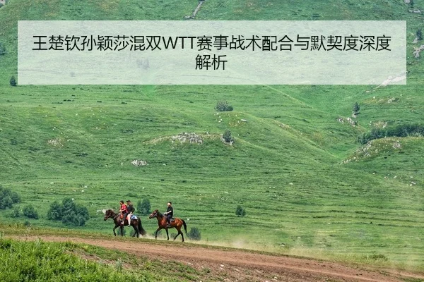 王楚钦孙颖莎混双WTT赛事战术配合与默契度深度解析
